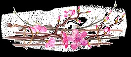 冬季梅花卡通透明素材
