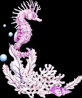 粉色海馬卡通透明素材