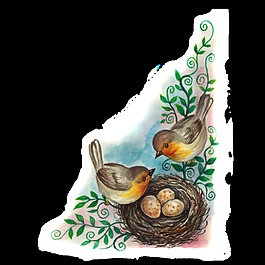 鳥類卡通透明素材