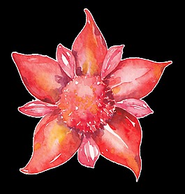 紅色時尚魅力花卉卡通透明素材