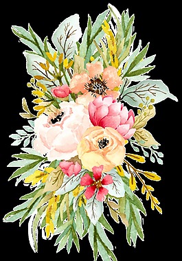 開業(yè)花卉卡通透明素材