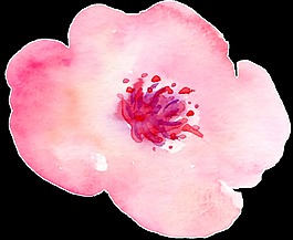 花卉元素卡通透明素材