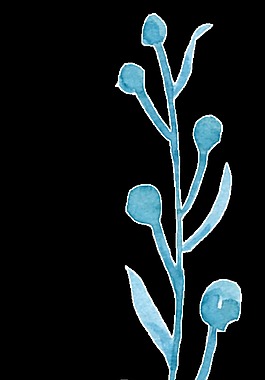 簡(jiǎn)約水彩花卉卡通透明素材
