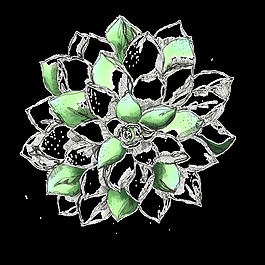手繪花朵素材