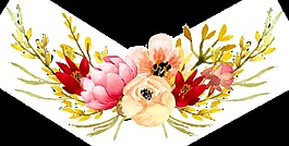 水彩花卉素材