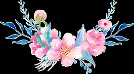 優(yōu)質(zhì)花卉卡通透明素材