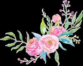 清新盛開(kāi)植物花卉卡通透明素材