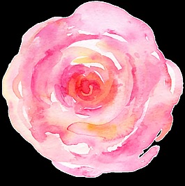 優(yōu)雅花卉卡通透明素材