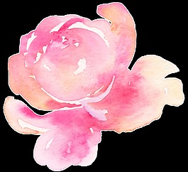 粉色可愛花卉透明素材