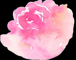 水彩花卉透明素材