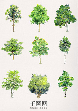水彩植物精美樹木素材