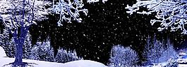 冬季夢(mèng)幻雪花飄散背景視頻素材