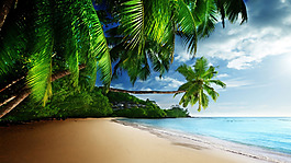 小清新大海沙灘背景