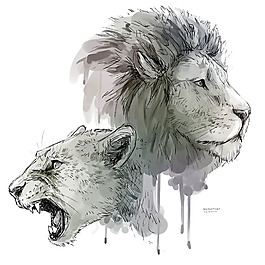 手繪風格獅子免摳png透明素材