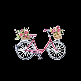 時(shí)尚手繪自行車(chē)插畫(huà)