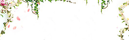清新綠色樹葉banner背景素材