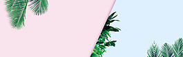 清新綠色樹枝banner背景素材