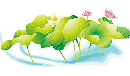 綠色荷花png元素素材