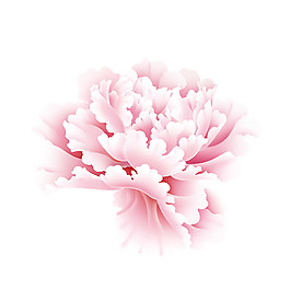 粉色牡丹花图案素材
