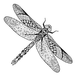 藝術時尚昆蟲蜻蜓插畫