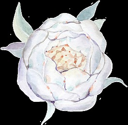 免扣花卉透明裝飾圖案
