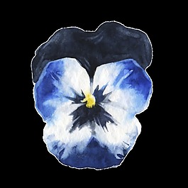 渲染花卉透明裝飾圖案