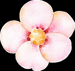 粉色可愛(ài)花卉透明裝飾圖案