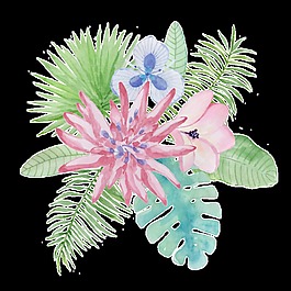 豐富花卉透明裝飾圖案