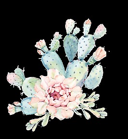 花卉與仙人掌透明裝飾圖案