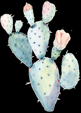 種植仙人掌透明裝飾圖案