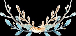 水彩藝術(shù)花卉透明裝飾圖案