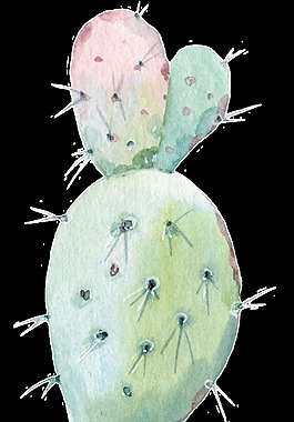 仙人掌透明裝飾圖案