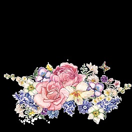 豐富花卉透明裝飾圖案