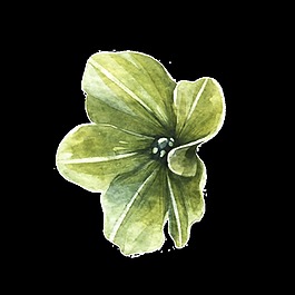翠綠植物透明裝飾圖案