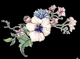白色優(yōu)雅花卉透明裝飾圖案