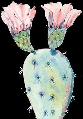 仙人掌開花透明裝飾圖案
