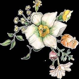 芬香花卉透明裝飾圖案