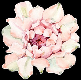 浪漫花卉透明裝飾圖案