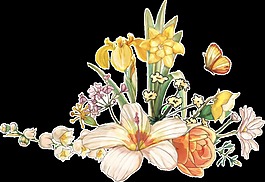 現(xiàn)實(shí)花卉透明裝飾圖案