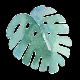 熱帶樹葉透明裝飾圖案