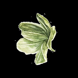 綠色蔬菜裝飾圖案