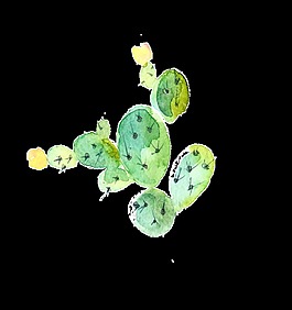 手繪卡通仙人掌透明裝飾圖案
