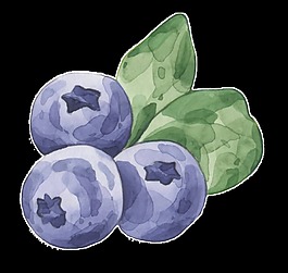 手绘水彩蓝莓水果透明装饰图案