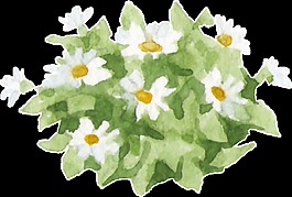 白色小花手绘透明装饰图案