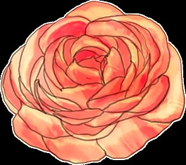 橙色牡丹花透明裝飾圖案