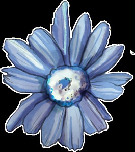 藍色太陽花透明裝飾圖案