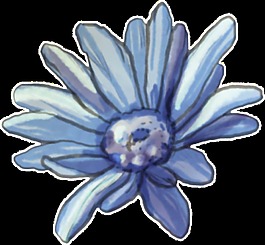 藍色太陽花透明裝飾圖案