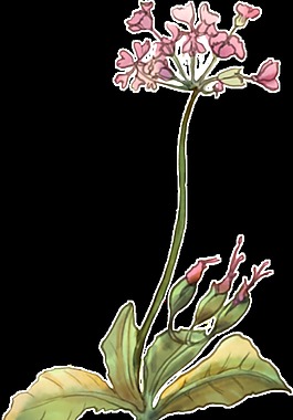 淡紫色爱心花透明装饰图案