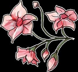 水彩花透明裝飾圖案