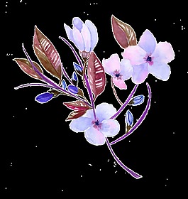 手繪夢(mèng)幻花卉透明裝飾圖案